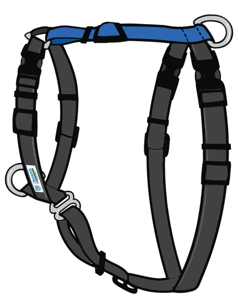 Pet Expertise Holiday Harness Sale 15-30% Off! Add to Cart for Discount